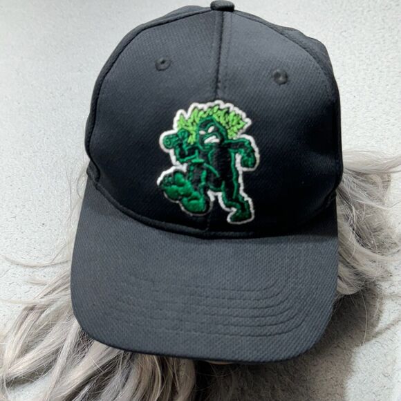 Eugene Emeralds Hat Cap Strap Back Boys Adjustable Black OC Youth MiLB Baseball - Picture 1 of 9